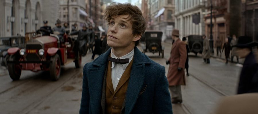 Photo of Review: 'Fantastic Beasts and Where to Find Them' Is Not Quite Fantastic