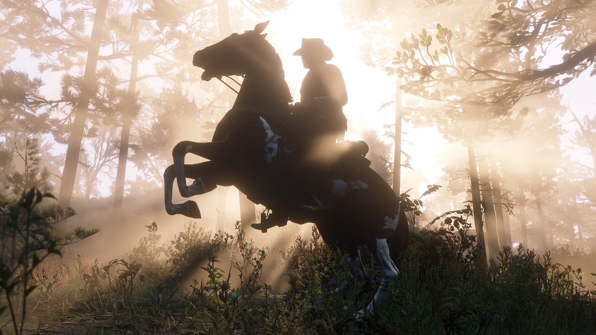 Red Dead Redemption II Has the Best Video Game Camera of All Time ...
