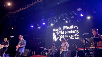 Photo of Beach Fossils and Wild Nothing Concert Review