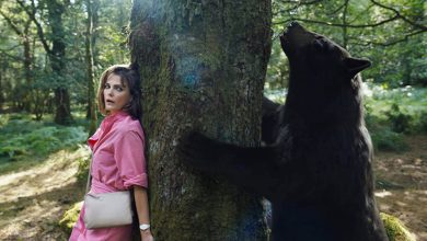 Photo of Why The LGBTQ Community Forgives Cocaine Bear